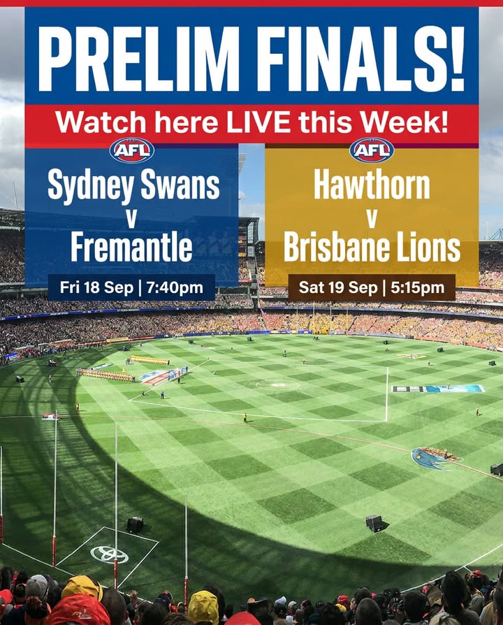 Featured image for “AFL Prelim Finals Live on the Big Screen at Club North Haven”